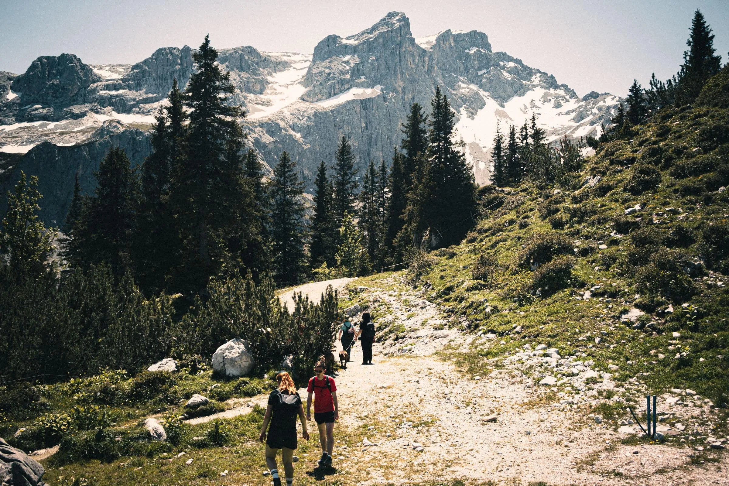 Walkers on a stony mountain path with peaks and forest behind