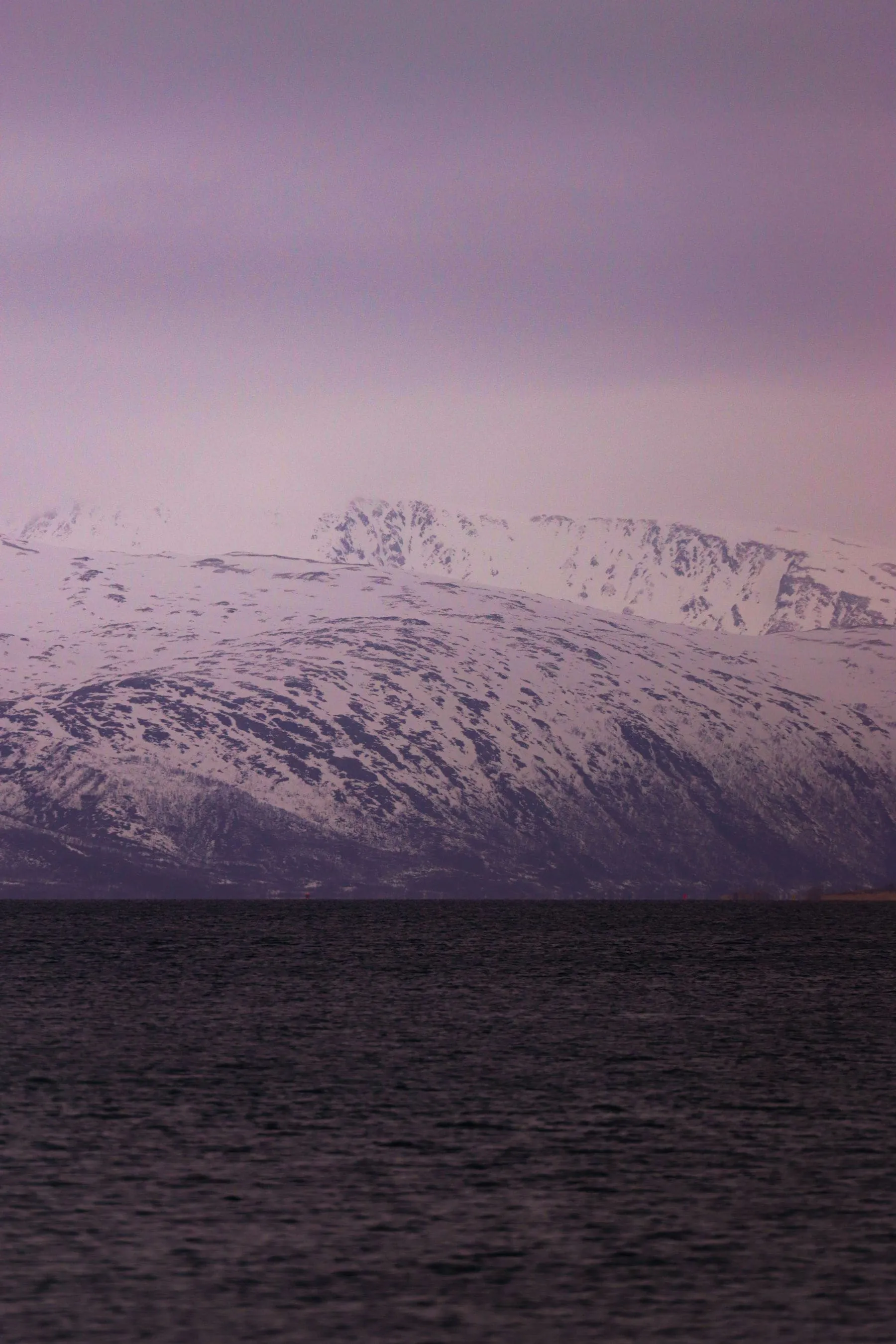 Snow-covered mountains above a grey Norwegian shoreline