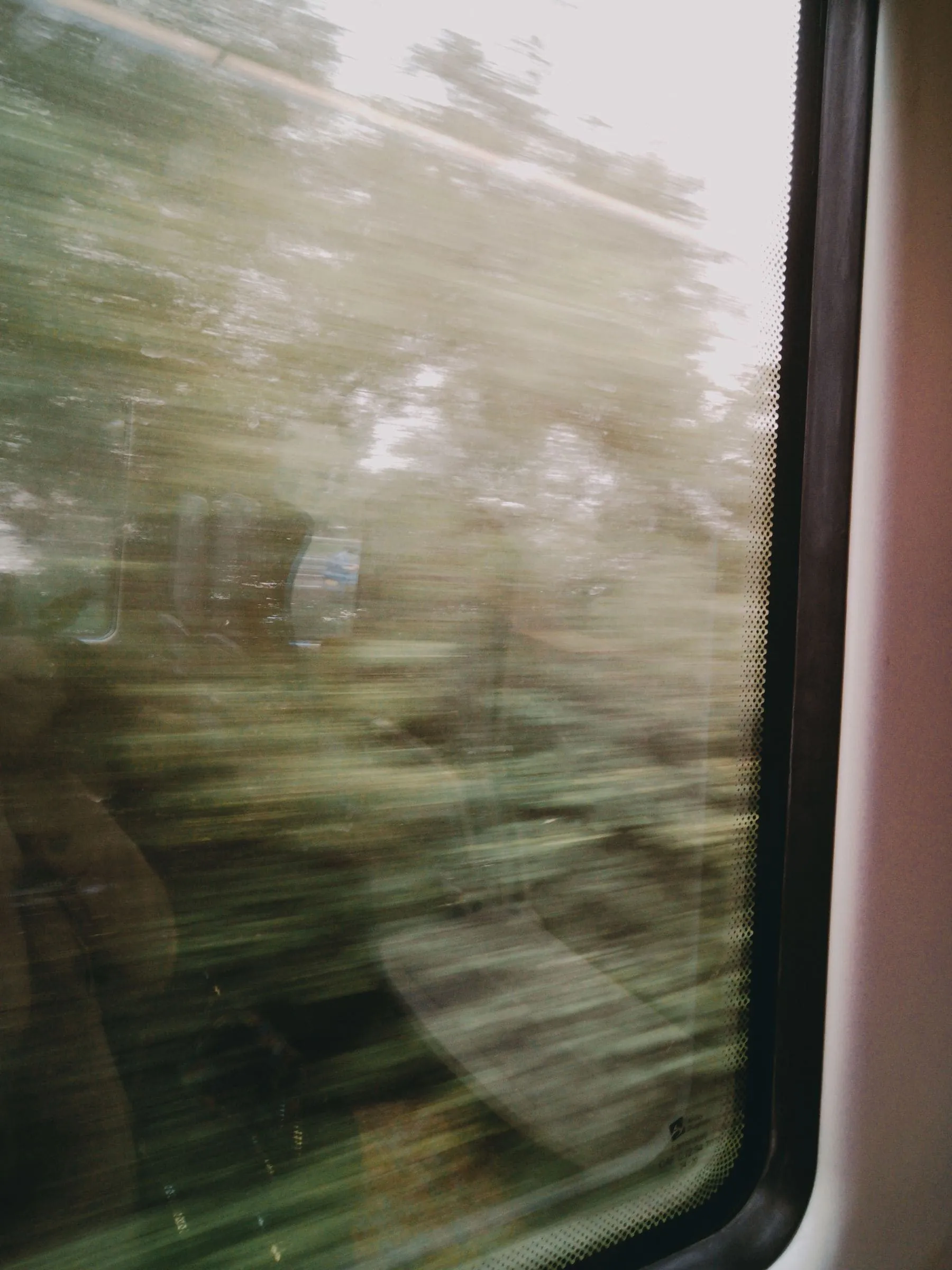 A blurred landscape seen through the window of a moving train
