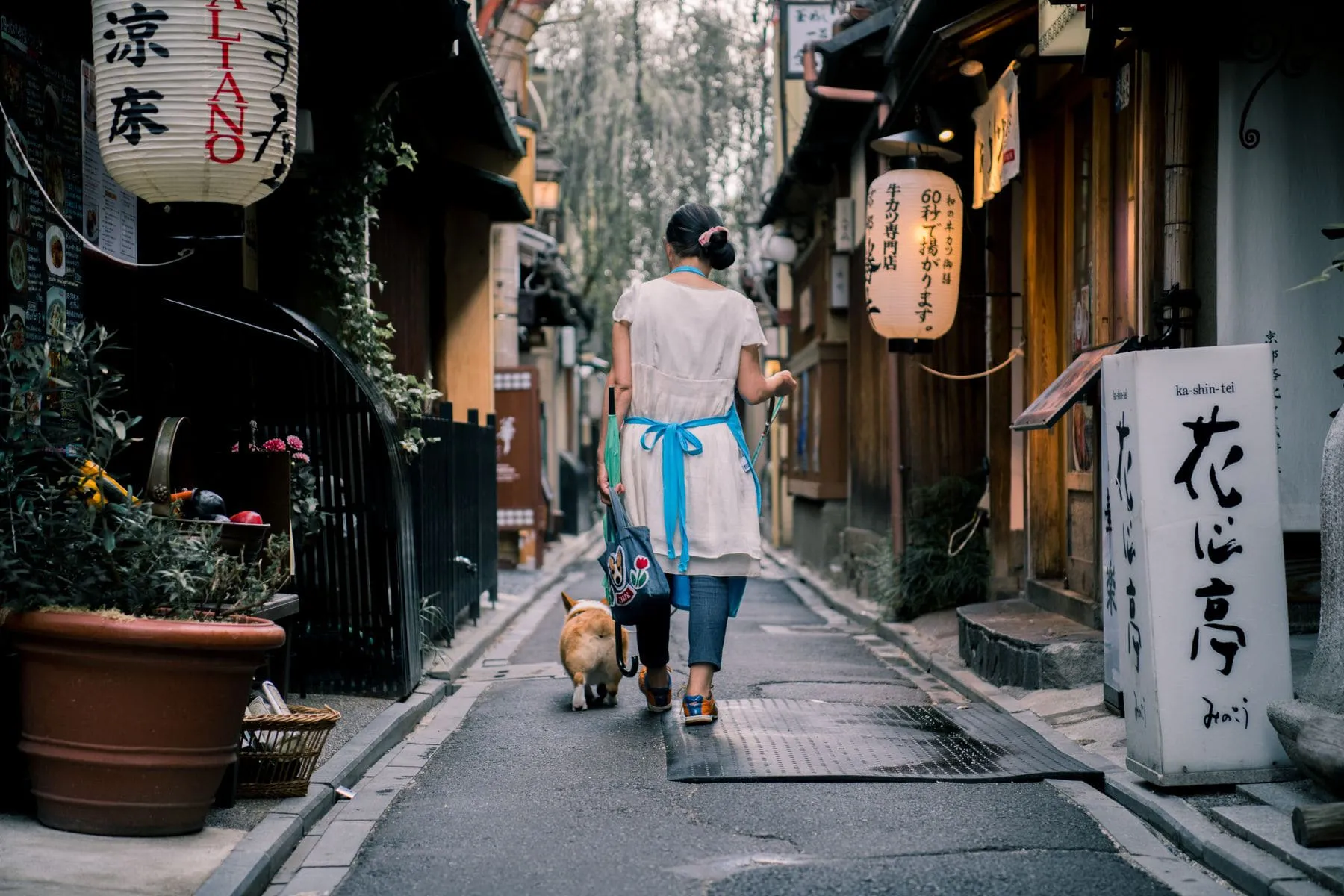 A narrow lane of low wooden buildings with lanterns, in evening light