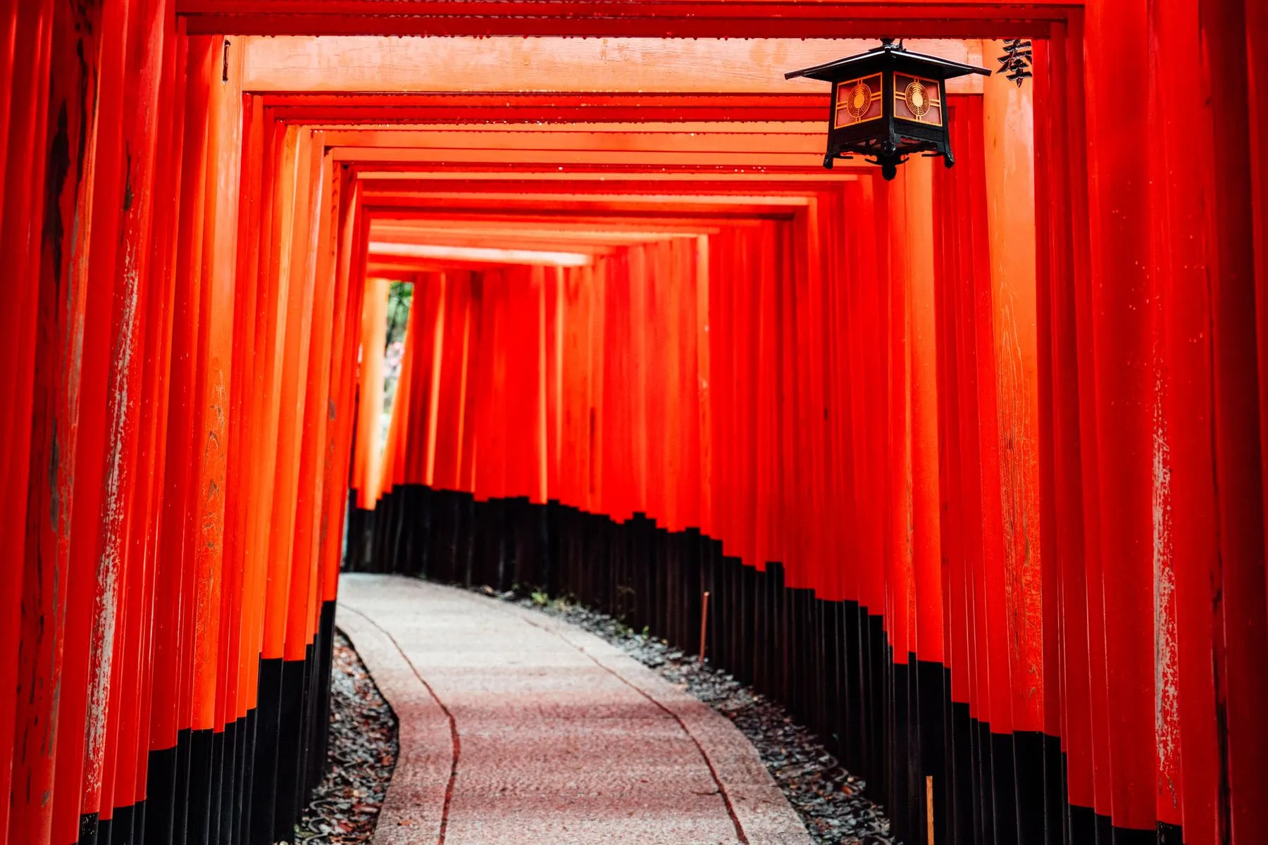A tunnel of vermilion torii gates lit from within at Fushimi Inari