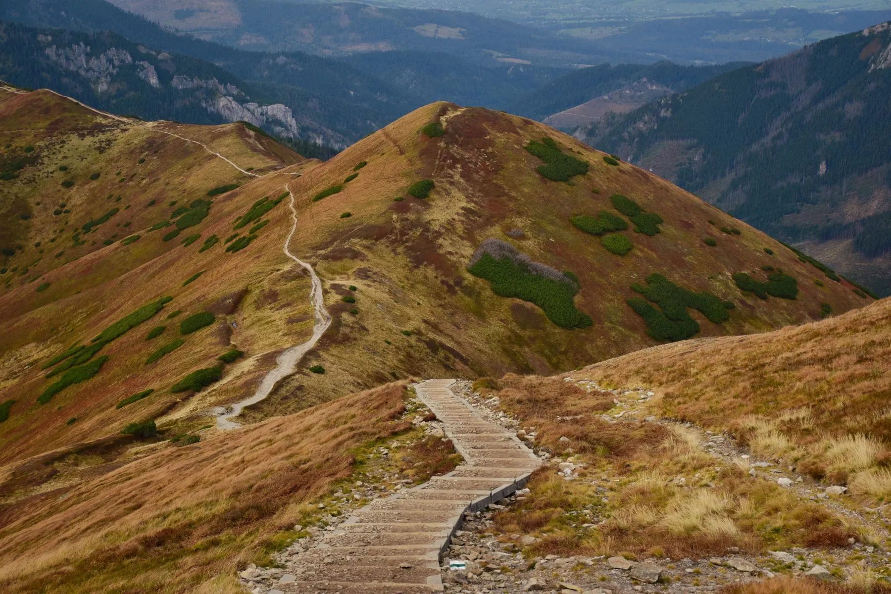 A ridge path winding along the top of a green mountain