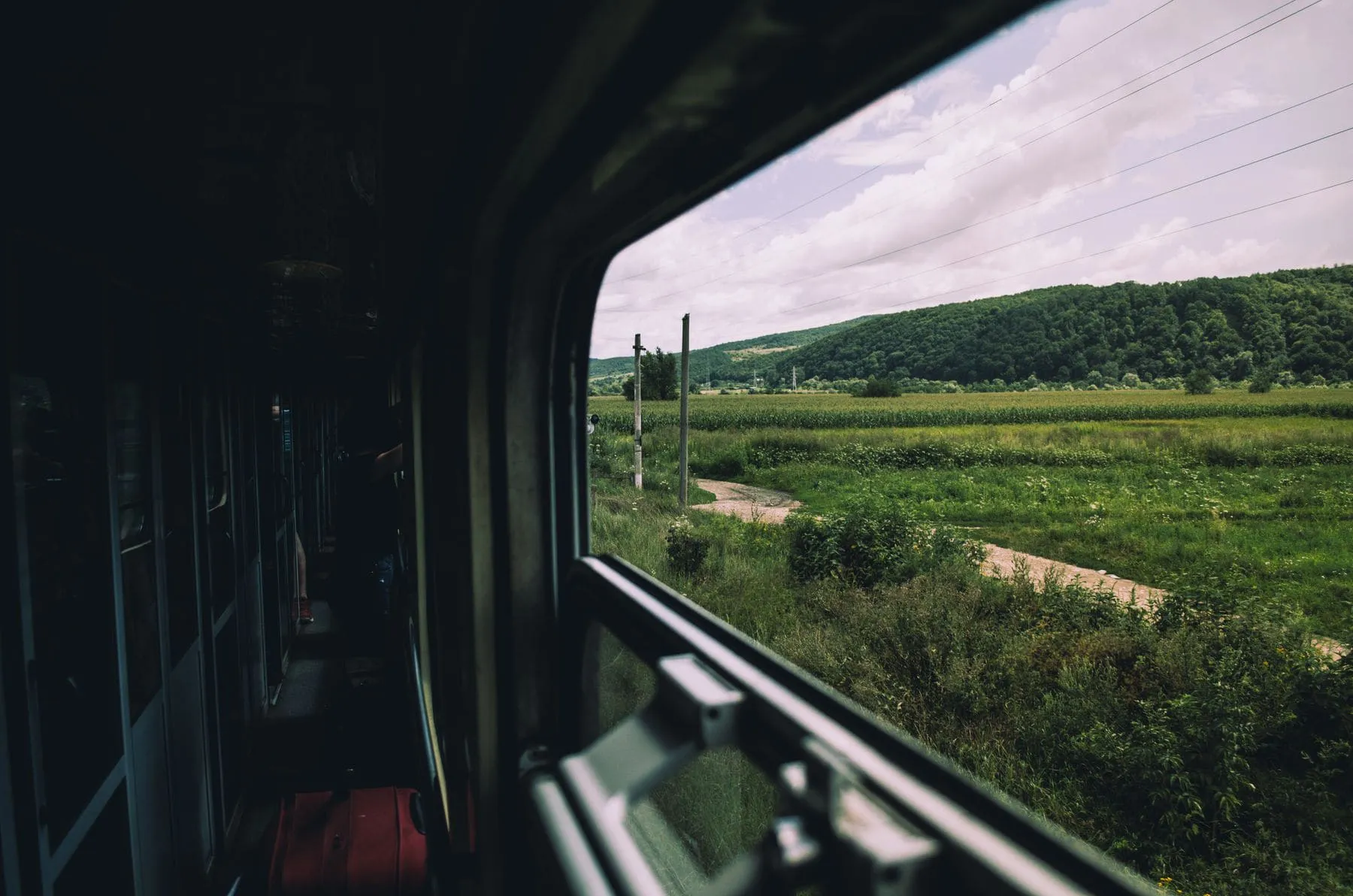 Countryside sliding past a train window in warm light