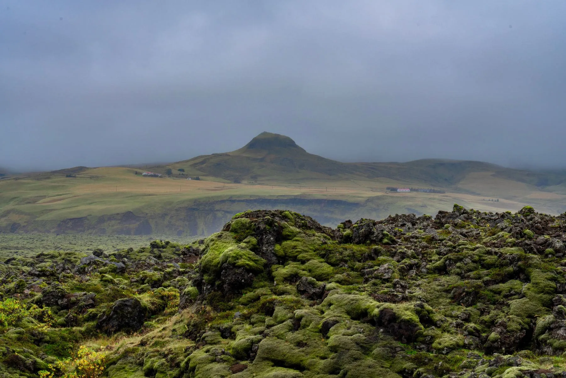 A field of moss-covered lava under a low grey sky